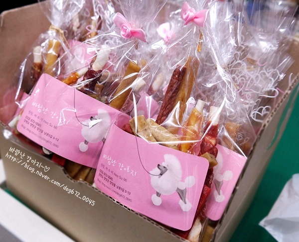 바람난강아지 대표 이미지