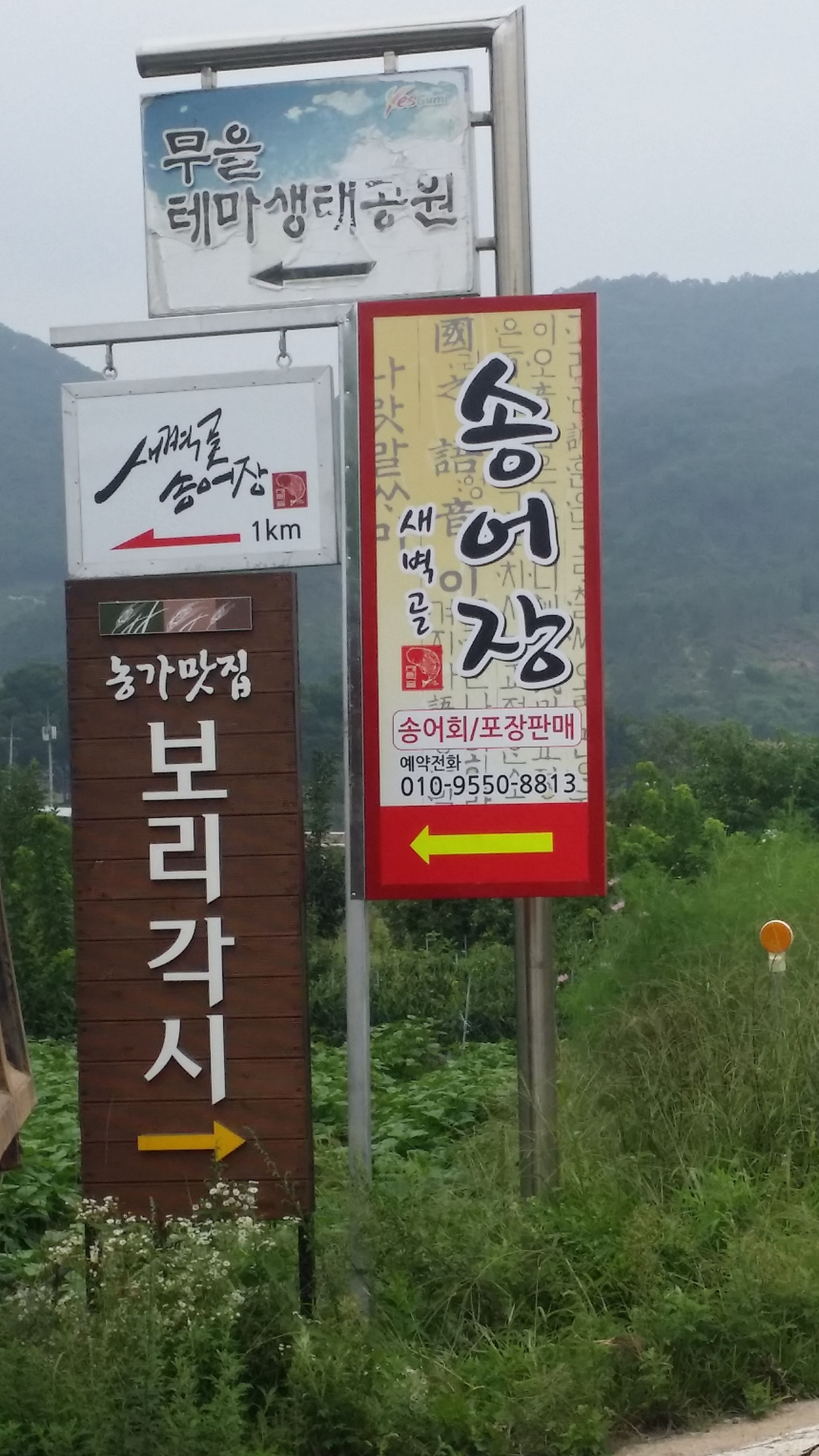새벽골송어장 설명사진