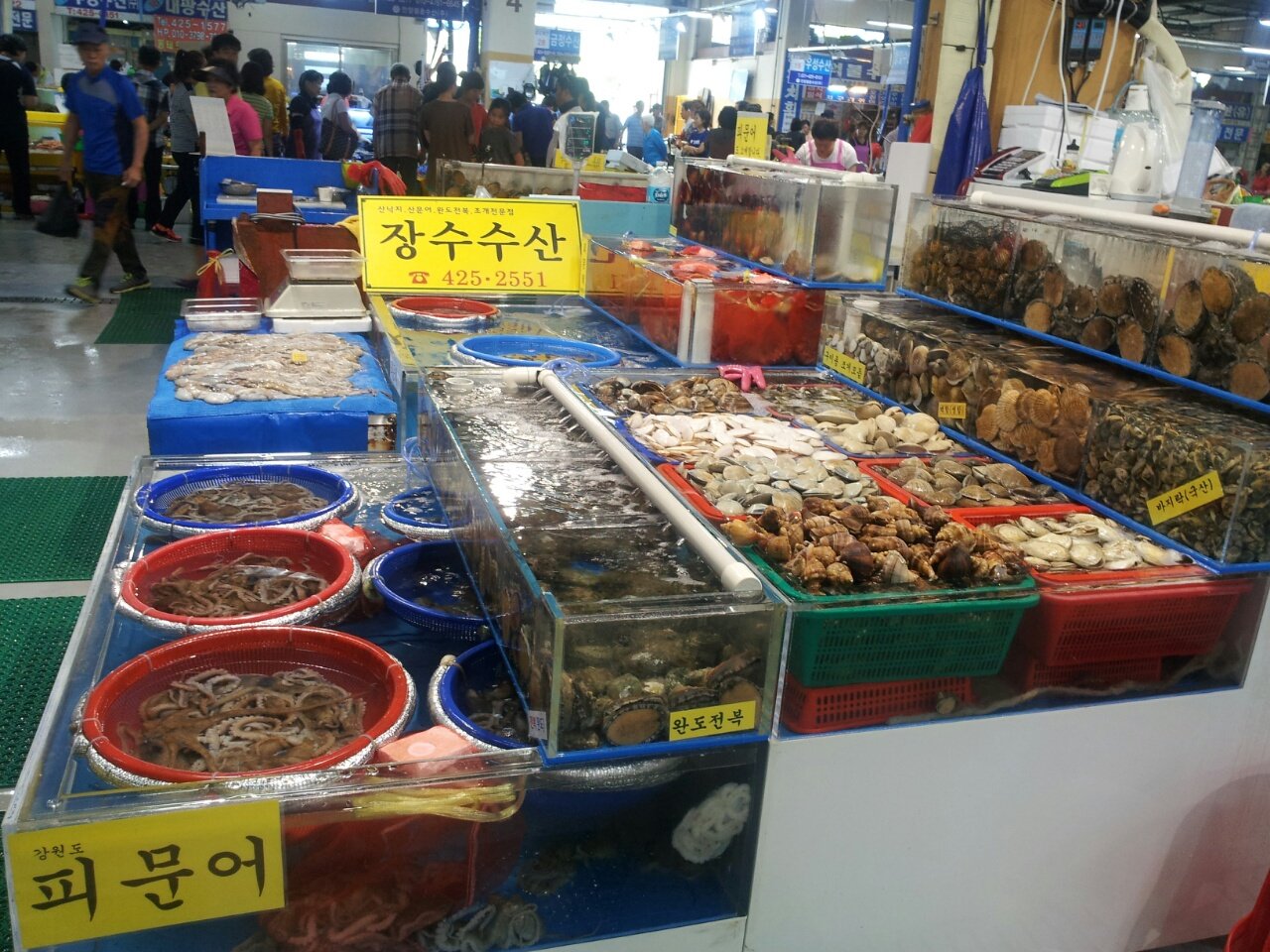 장수수산