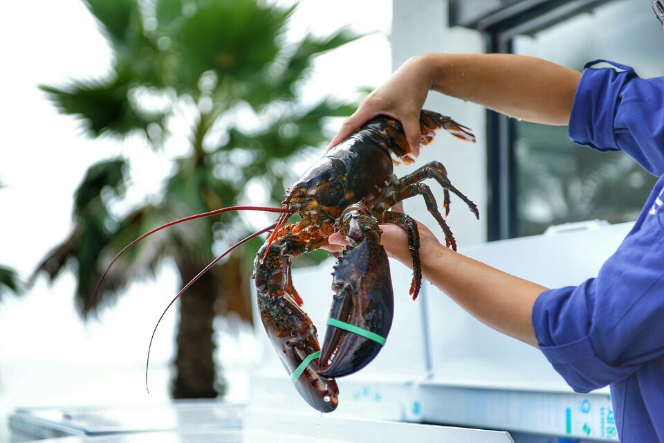 랍씨네 성산본점
