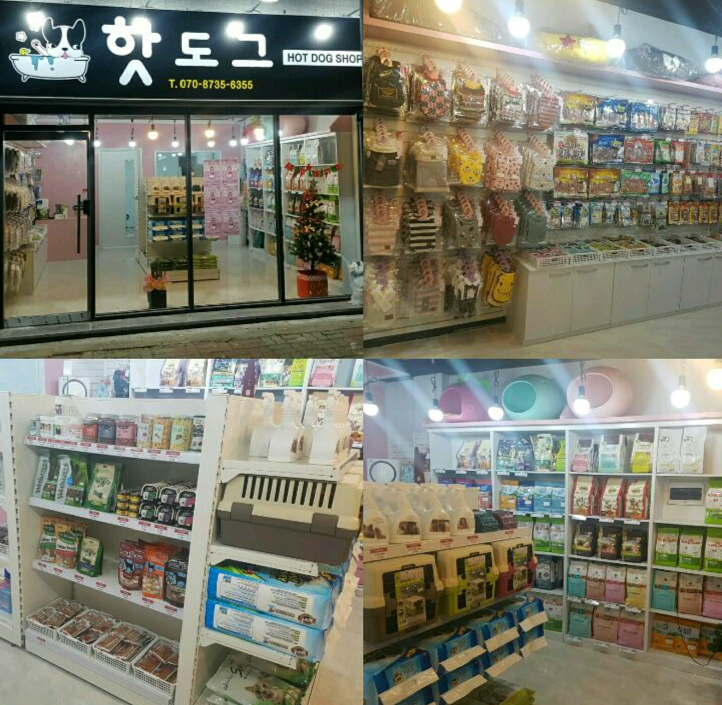 핫도그애견