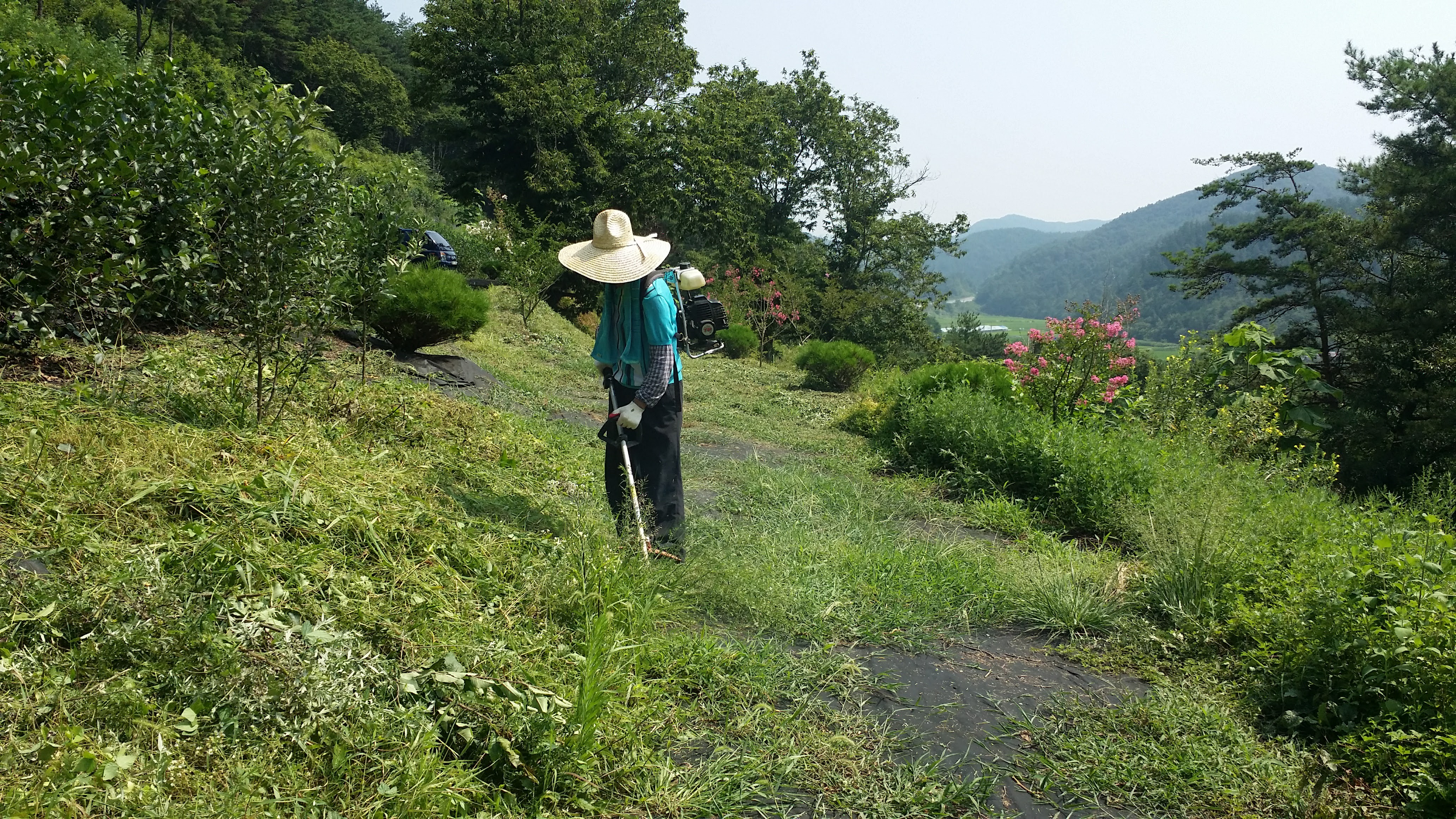 황매산애푸드