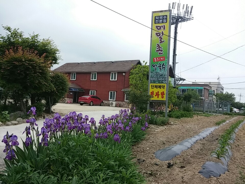 메밀촌동치미막국수 설명사진