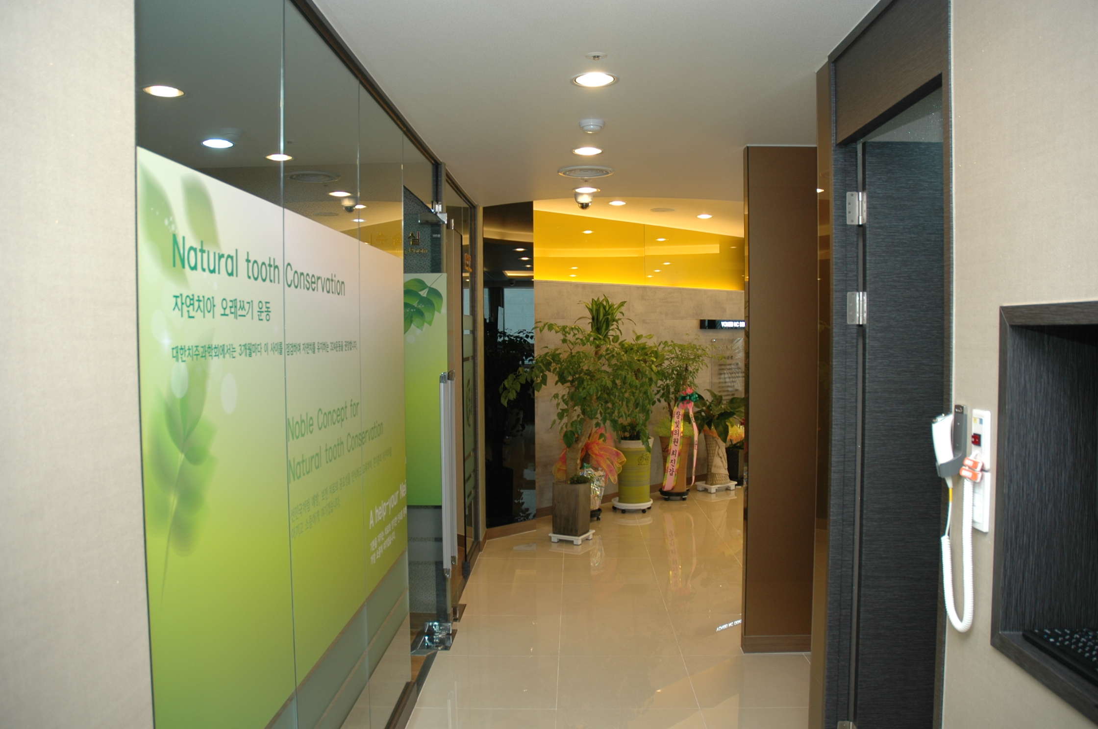 연세엔씨치과의원 대표 이미지