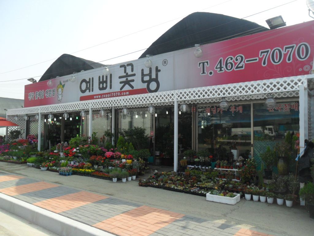 예삐꽃방
