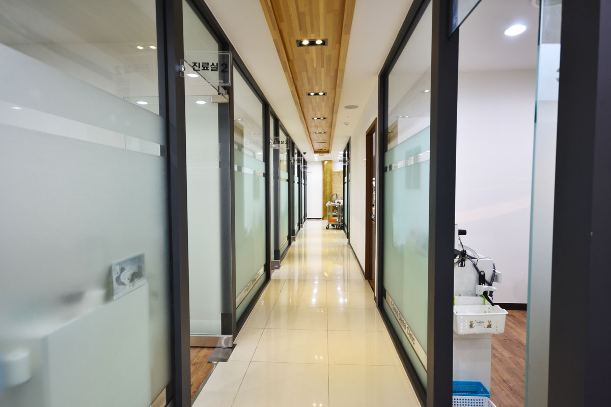 이좋은치과의원 대표 이미지