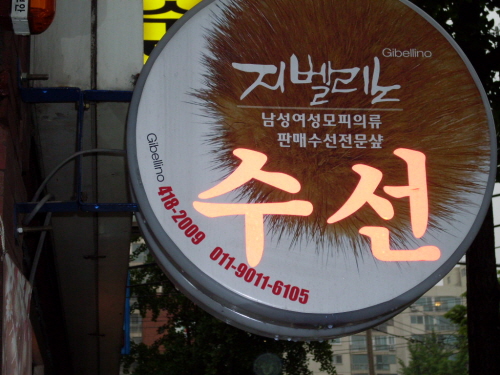 지벨리노