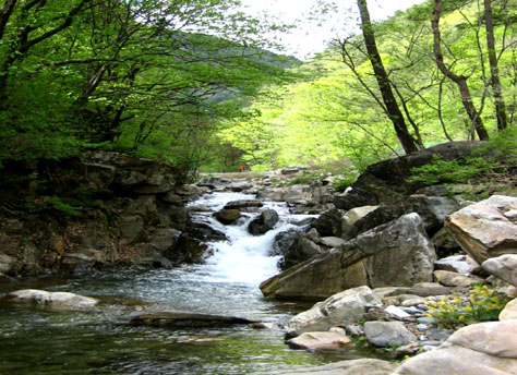 숲거리민박