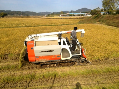 마루골농산