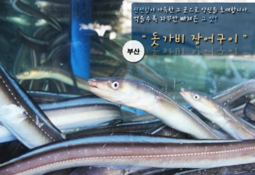 돗가비장어구이