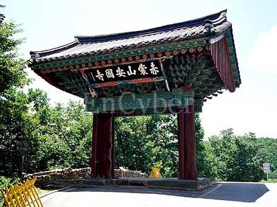 안국사