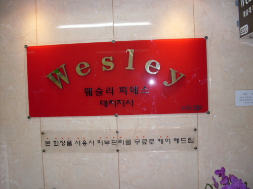 웨슬리 대치지사