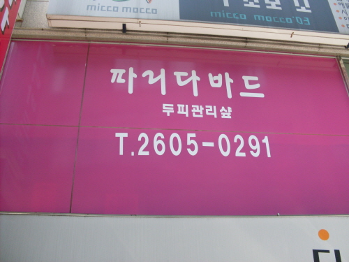 파리다바르 대표 이미지