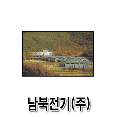 남북전기