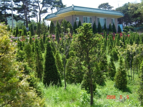 한빛농장