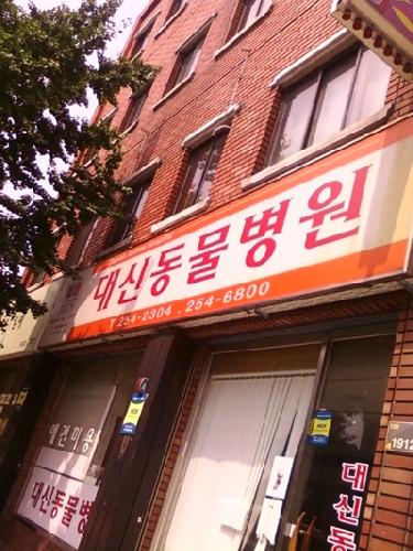 대신동물병원