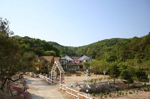 숲속의예쁜펜션