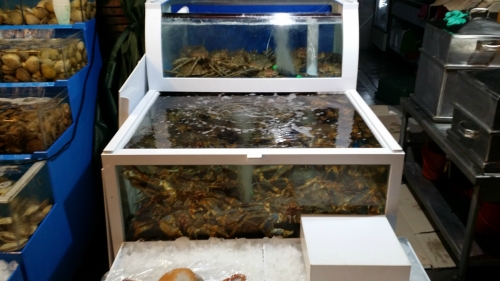 마산해물