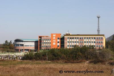 삼호서중학교