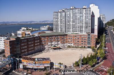 을숙도초등학교