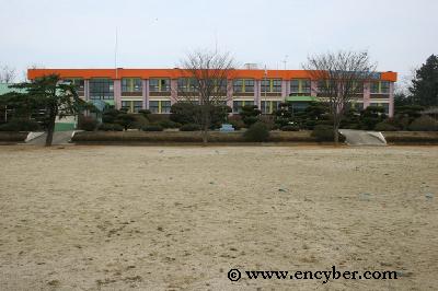 영산초등학교