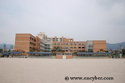 신천초등학교