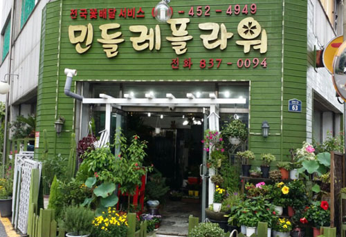 민들레꽃집