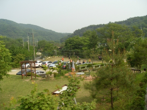 더큰나무
