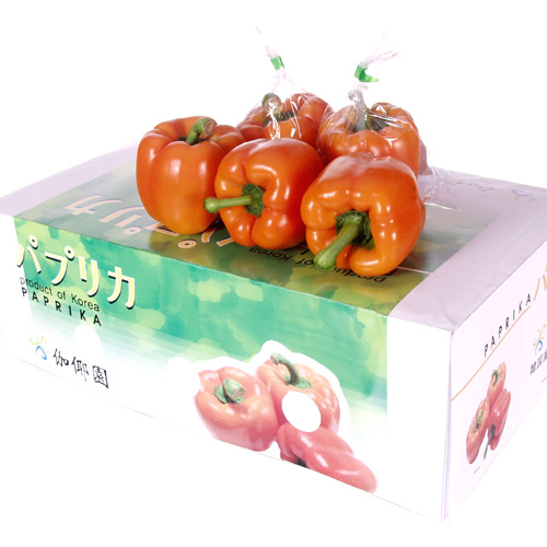 가야원예영농조합