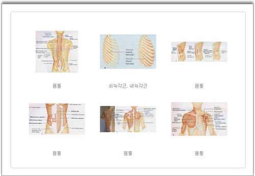 함수영건강지킴이