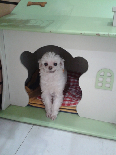 혜인종합동물병원 대표 이미지