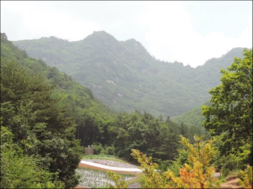 도락산자드락펜션