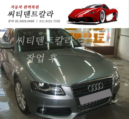 씨티덴트칼라