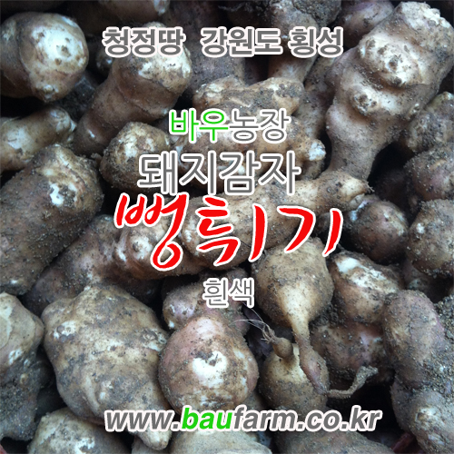 바우농장