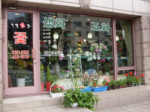 이레꽃방