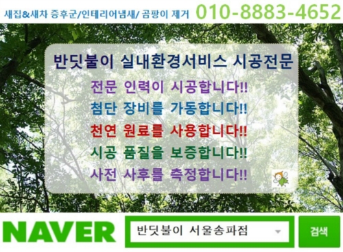 반딧불이 대표 이미지