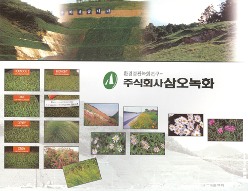 삼오녹화