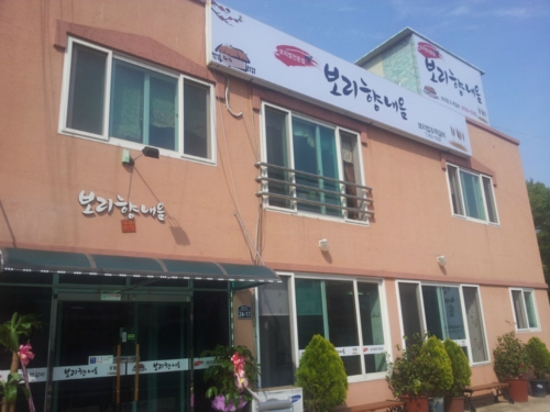 보리향내음