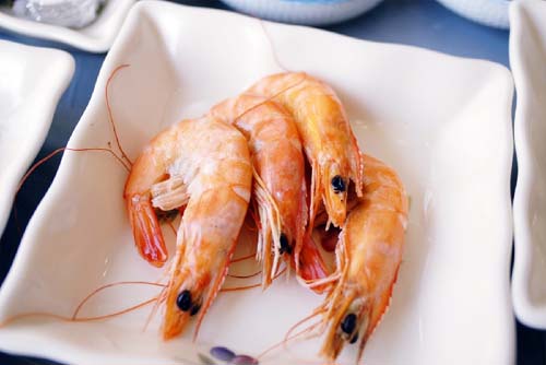 갯바위