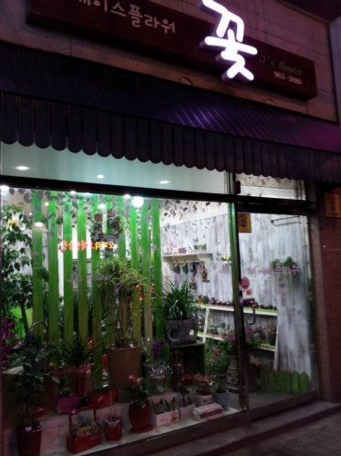 제이스플라워