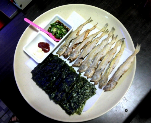바니와거북이