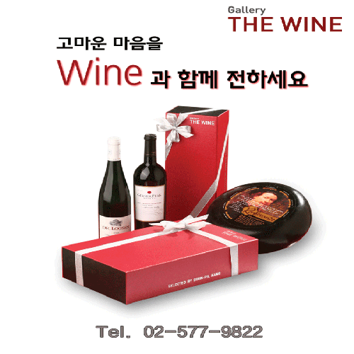 와인강 내부 또는 관련 모습