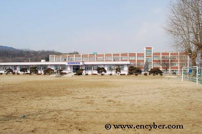 월랑초등학교