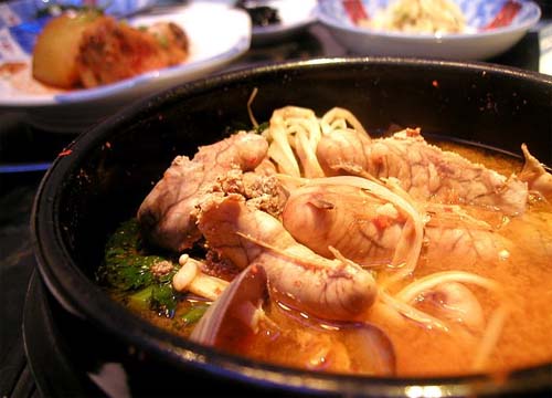지원이네생태랑대구랑