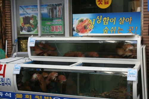 시장대게회식당