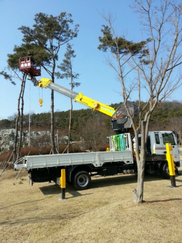 월드카고크레인