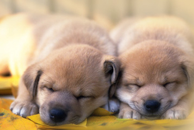 중곡동물병원 대표 이미지