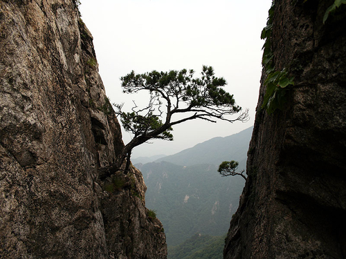 계룡산 (Gyeryongsan Mountain), photo 7