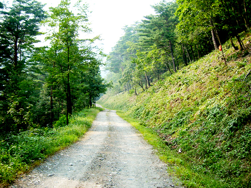 산림기술사사무소 엘림엔지니어링