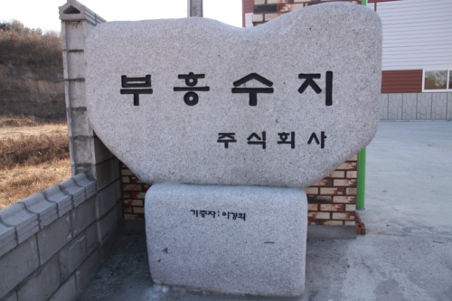 부흥수지